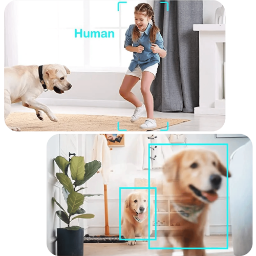 กล้องวงจรปิดอัจฉริยะ Detect & Movement & Human
