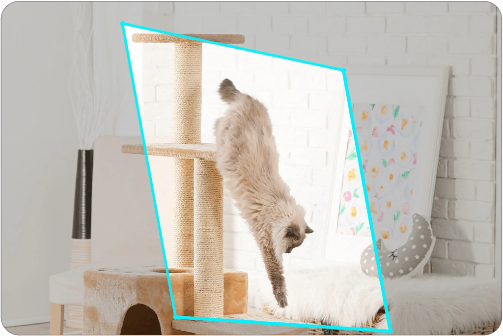Smart Indoor Cam Detection zone